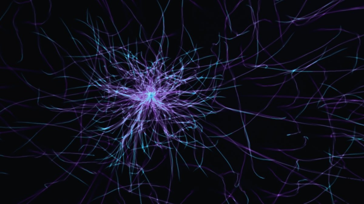 Photo by Sandip Kalal on Unsplash. Source: https://unsplash.com/photos/a-purple-and-blue-abstract-pattern-on-a-black-background-tcf9V6PDNoA (Unsplash License).