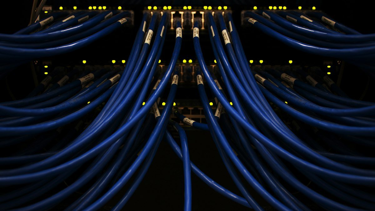 Photo by Scott Rodgerson on Unsplash. Source: https://unsplash.com/photos/a-bunch-of-blue-wires-connected-to-each-other-PSpf_XgOM5w (Unsplash License).