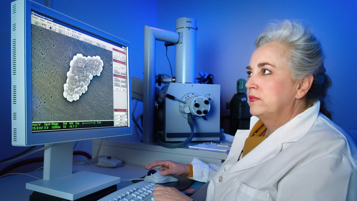 A person studies a three-dimensional model on a computer screen in a laboratory. Photo by CDC on Unsplash. Source: https://unsplash.com/photos/a-woman-sitting-in-front-of-a-computer-monitor-mJoybek8SGU (Unsplash License).