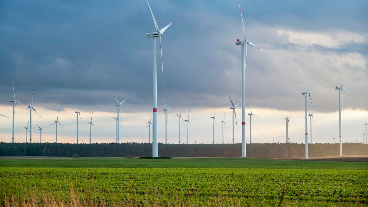 Photo by Etienne Girardet on Unsplash. Source: https://unsplash.com/photos/a-group-of-wind-turbines-6D3k_40hYBc (Unsplash License).